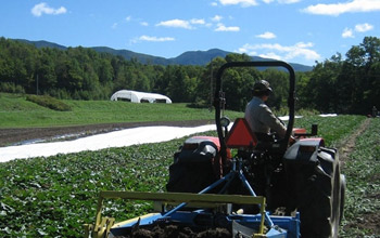 Burnt Rock Farm: Resources to Help the New Agrarian Succeed Image